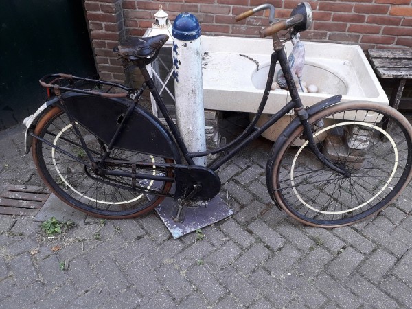 Nederlandse leeuw 3.jpg