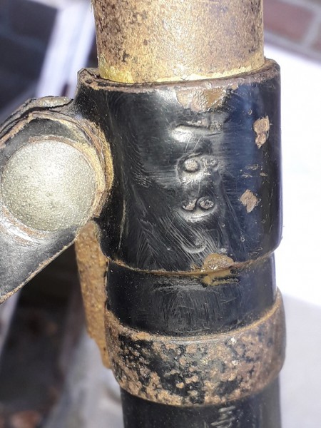 Nederlandse leeuw 4.jpg