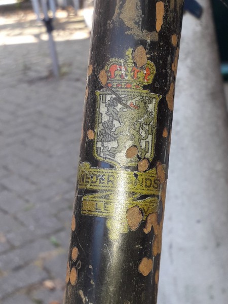 Nederlandse leeuw 5.jpg