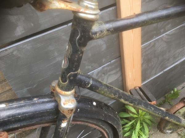 2019-05-09 at 14.15.11.jpg