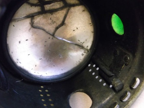 ScreenHunter_02 Jan. 13 21.50.jpg