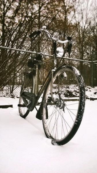 WP_20190124_12_04_27_Pro (2).jpg