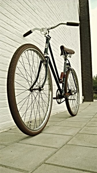 WP_20190518_18_52_53_Pro (2).jpg