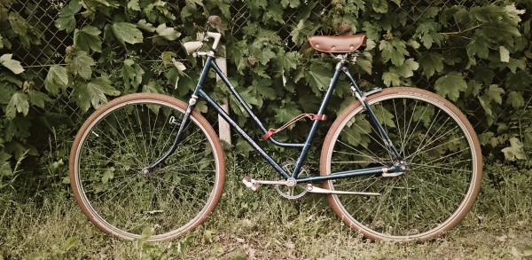 WP_20190516_12_00_40_Pro (3).jpg