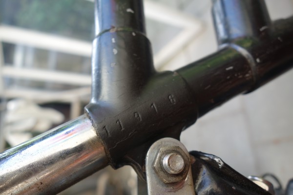 2019-06-17 11.23.02.jpg