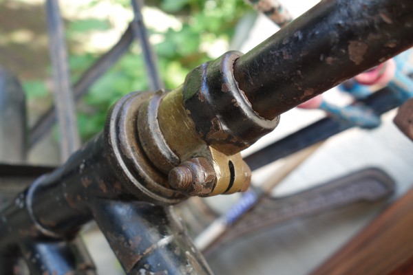 2019-06-17 11.21.12.jpg