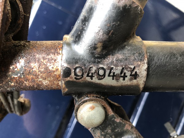 Foto 02-08-19 14 45 06.jpg