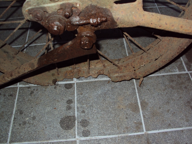 DSC01153 (800x600).jpg