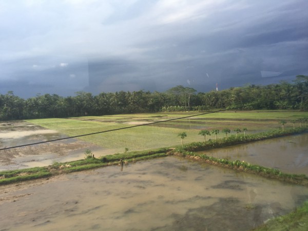 Treinreis naar Yogyakarta.JPG