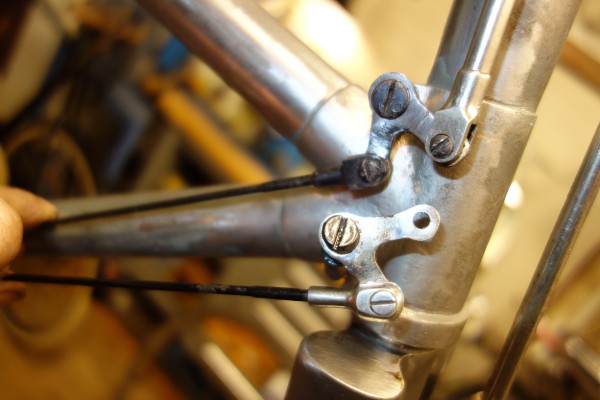 DSC05010.JPG (162.74 KiB) 7706 keer bekeken Vroege en latere gaffel