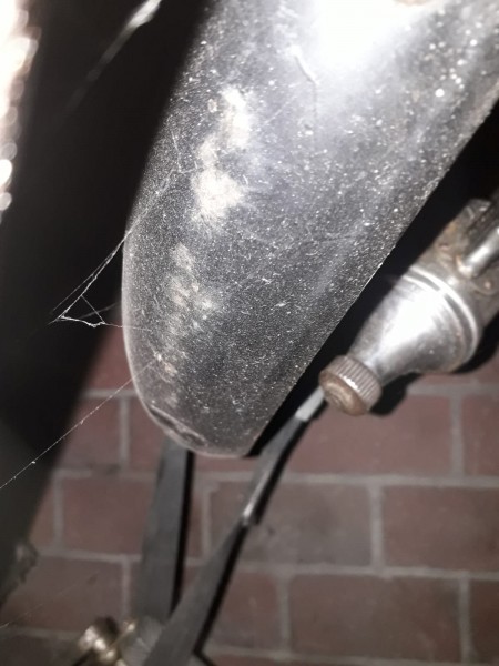 WhatsApp Image 2020-01-02 at 16.48.42(1).jpeg