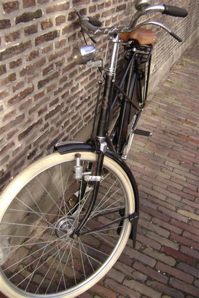 DSC06648 (Medium).JPG