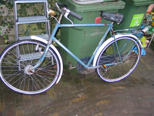 stokvis blauw 001.jpg