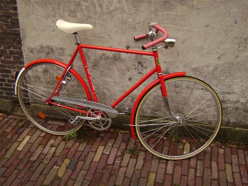 Z-Uiver (Medium).JPG