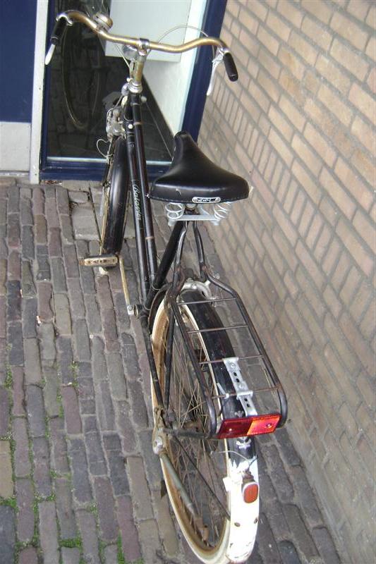 DSC07706 (Medium).JPG