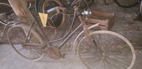 WhatsApp Image 2020-08-02 at 21.50.37.jpeg