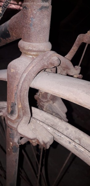 WhatsApp Image 2020-08-02 at 21.50.40.jpeg