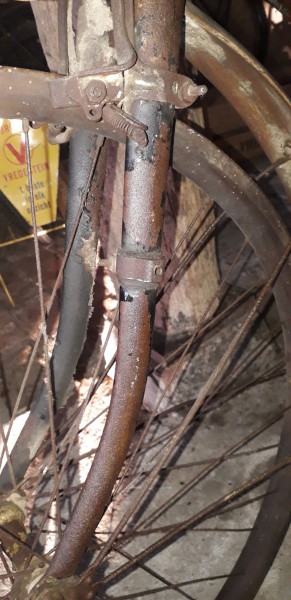 WhatsApp Image 2020-08-02 at 21.50.40(2).jpeg