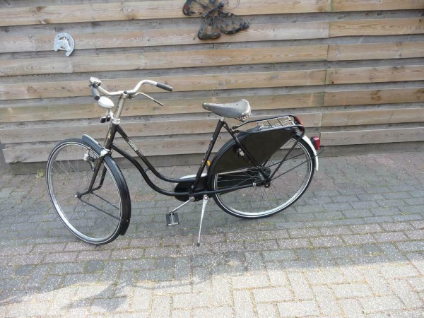 UNION zwanehals frame, HK Nw A'dam (2).jpg