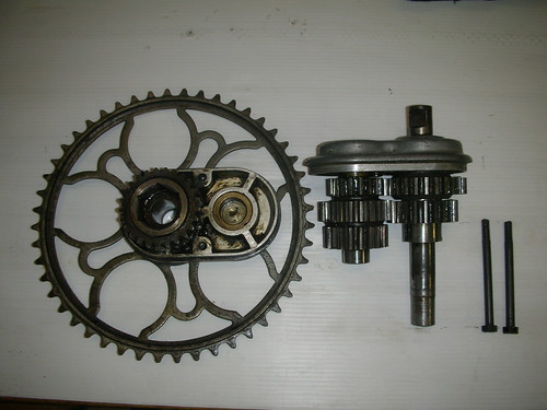 kettingblad Mutaped_5436434211_9f5ae2a8be.jpg