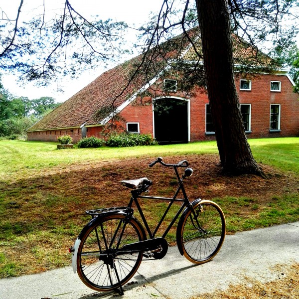 WhatsApp Image 2020-08-29 at 15.45.37.jpeg