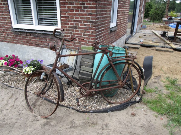 Gazelle in verregaande vergane staat (1).JPG