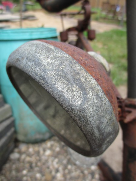 Gazelle in verregaande vergane staat (2).JPG