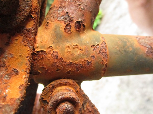 Gazelle in verregaande vergane staat, WtC, 2020  (5).JPG