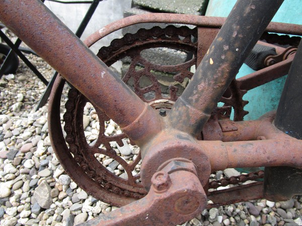 Gazelle in verregaande vergane staat, WtC, 2020  (4).JPG