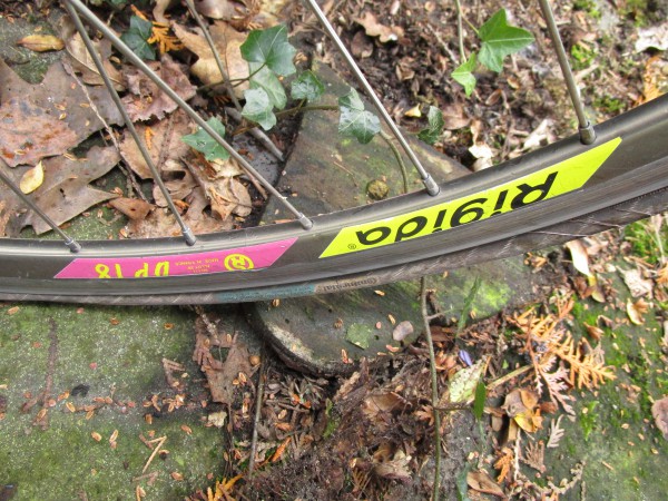 Gazelle racefiets Reynolds buizen (5).JPG