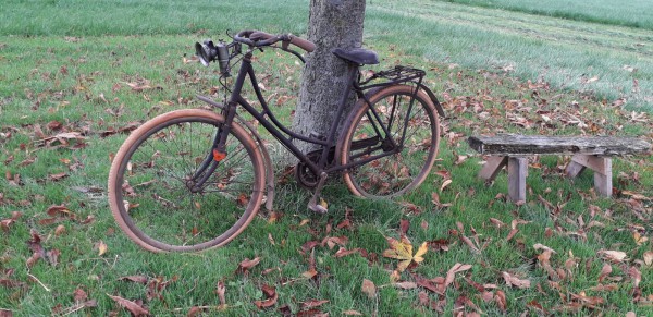 WhatsApp Image 2020-10-26 at 19.57.50.jpeg