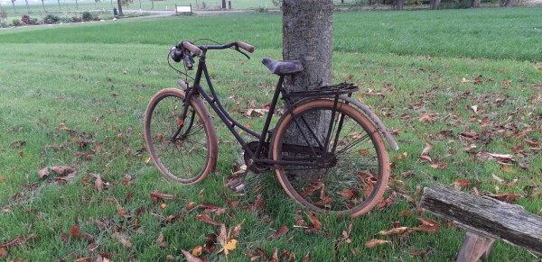 WhatsApp Image 2020-10-26 at 19.57.50(1).jpeg