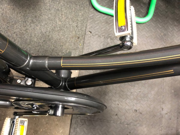 Gazelle oma special27.jpg