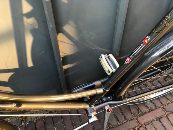 Gazelle oma special21.jpg