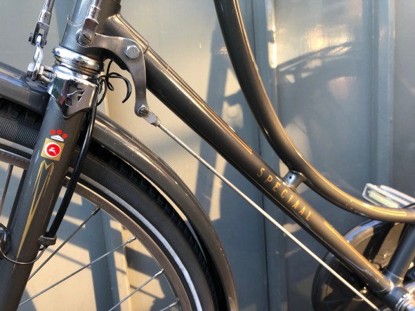 Gazelle oma special1.jpg