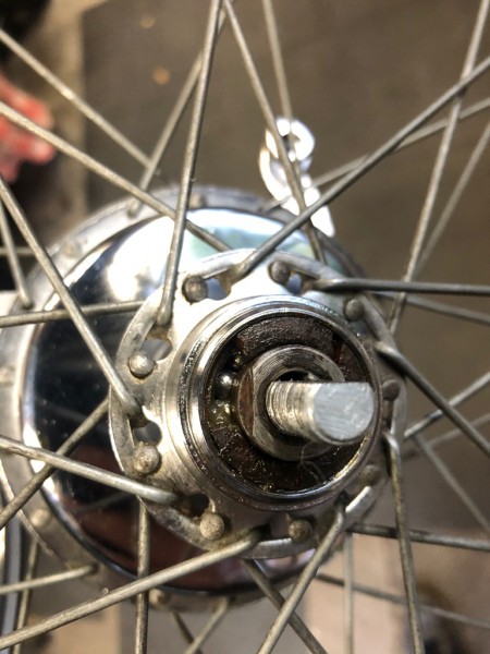 Gazelle oma special12.jpg