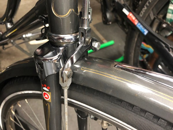 Gazelle oma special15.jpg