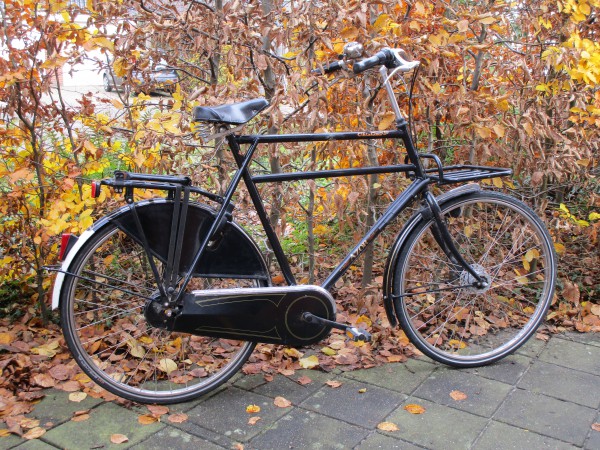 AZOR Oklahoma -  70cm hoog, van  G. P..JPG