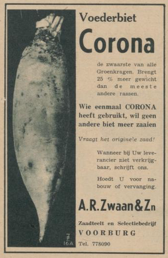 Schermafbeelding 2020-11-08 om 10.56.42-1.PNG