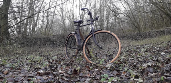 WhatsApp Image 2020-12-20 at 16.56.06.jpeg