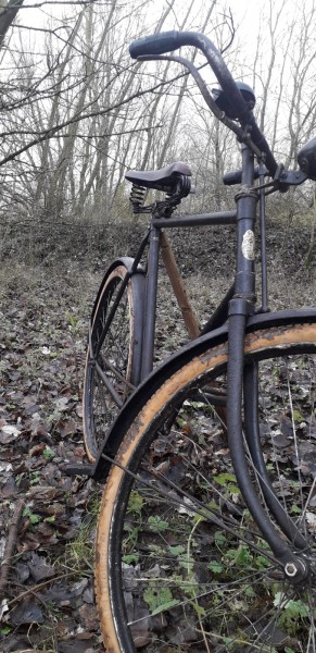 WhatsApp Image 2020-12-20 at 16.56.06(2).jpeg