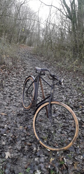 WhatsApp Image 2020-12-20 at 16.56.07.jpeg