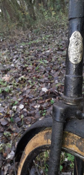 WhatsApp Image 2020-12-20 at 16.56.07(2).jpeg