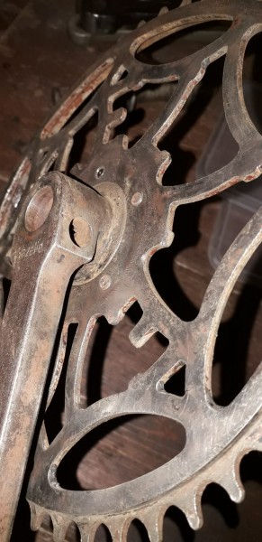 WhatsApp Image 2021-01-02 at 20.10.24(1).jpeg