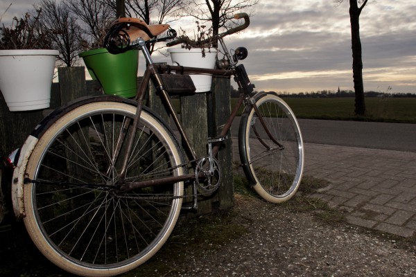 Van Leiden 2021  (1).JPG