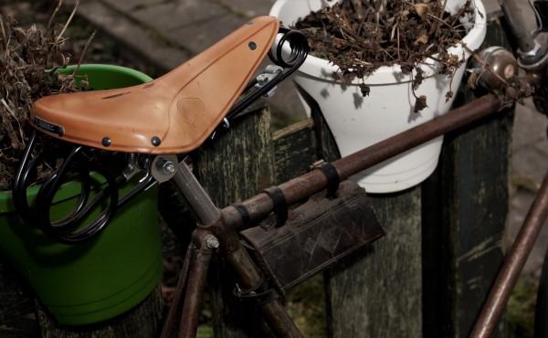 Van Leiden 2021  (2).JPG