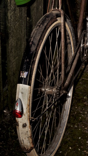 Van Leiden 2021  (3).JPG