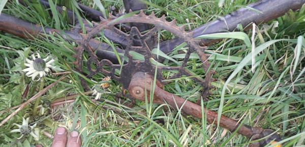 WhatsApp Image 2021-05-02 at 20.05.12.jpeg