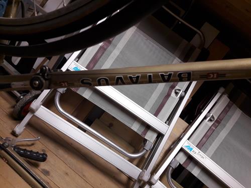 Batavus-3.jpg