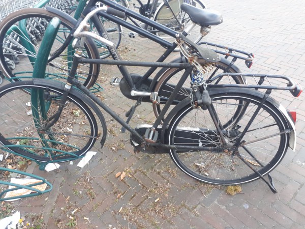 WhatsApp Image 2021-05-14 at 20.50.04 (1).jpeg